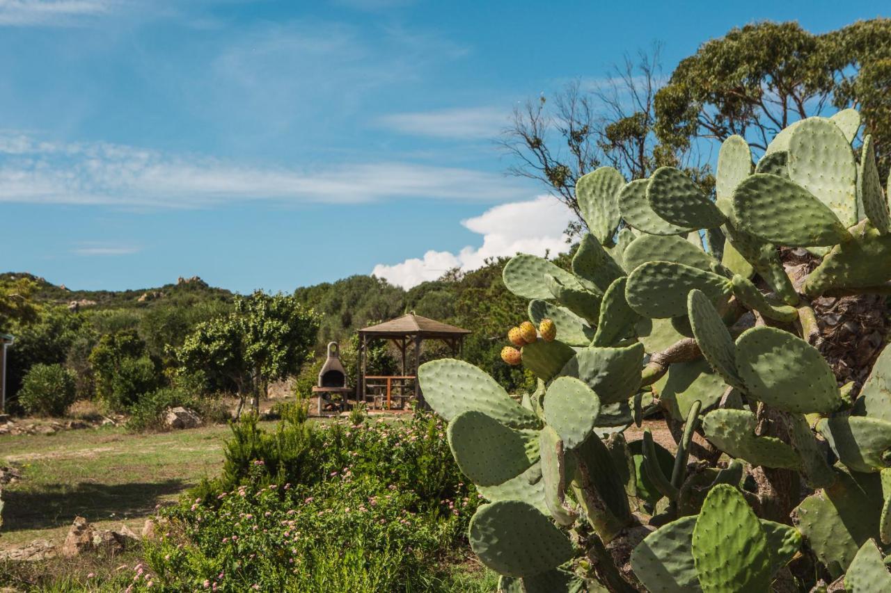 Sapa Di Cala Casa de hóspedes Bonifacio  Exterior foto